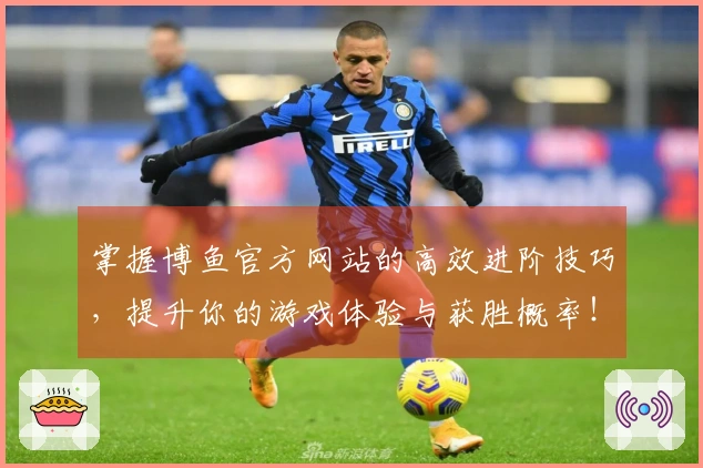 掌握博鱼官方网站的高效进阶技巧，提升你的游戏体验与获胜概率！