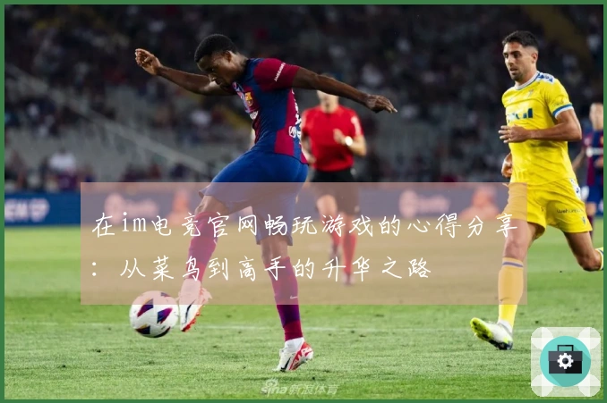 在im电竞官网畅玩游戏的心得分享：从菜鸟到高手的升华之路