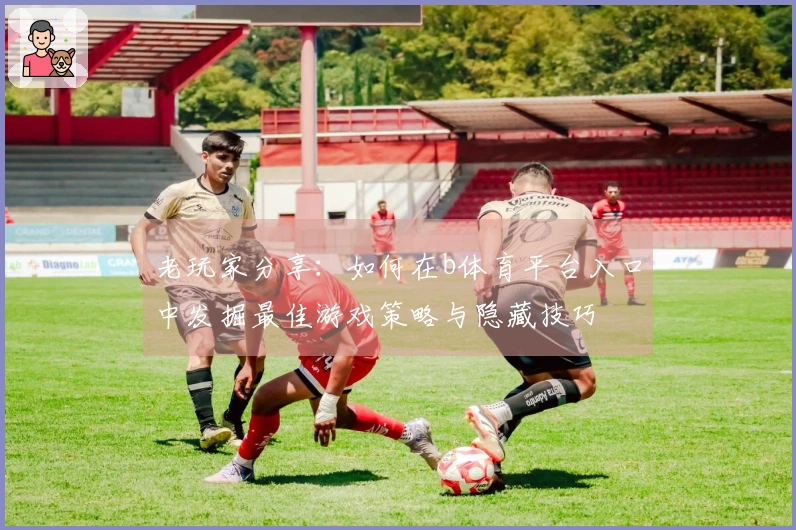 老玩家分享：如何在b体育平台入口中发掘最佳游戏策略与隐藏技巧