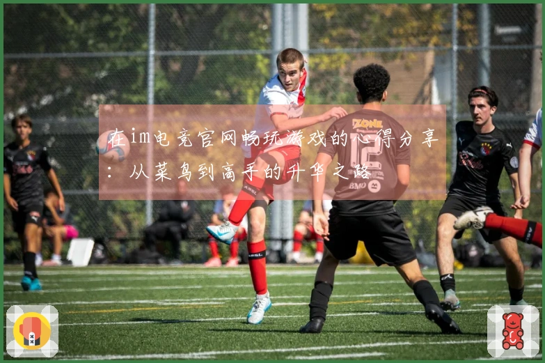 在im电竞官网畅玩游戏的心得分享：从菜鸟到高手的升华之路